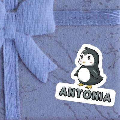 Antonia Autocollant Pingouin Gift package Image