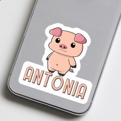 Antonia Sticker Piggy Notebook Image