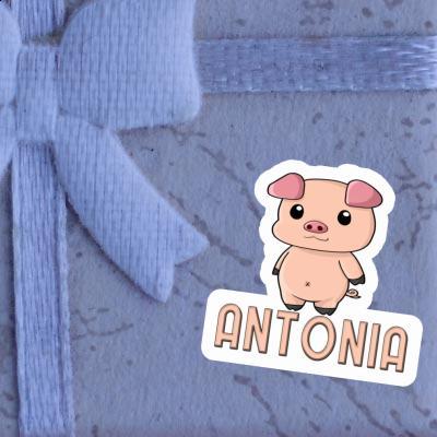 Antonia Sticker Piggy Notebook Image