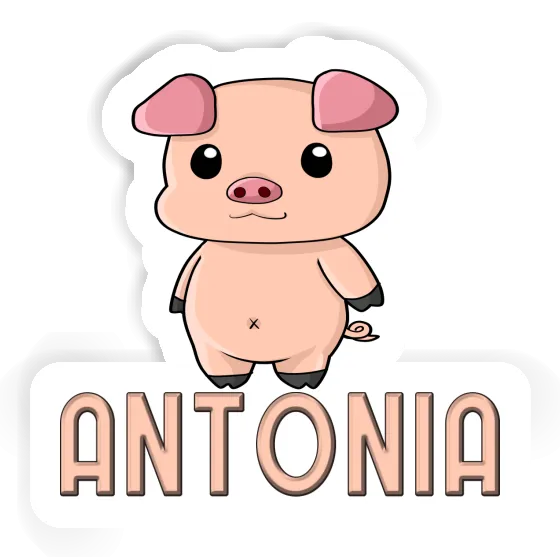 Antonia Sticker Piggy Notebook Image