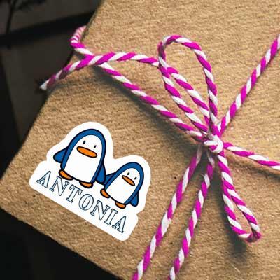 Pingouin Autocollant Antonia Gift package Image