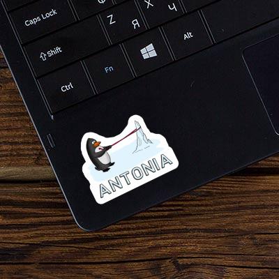 Pinguin Sticker Antonia Laptop Image