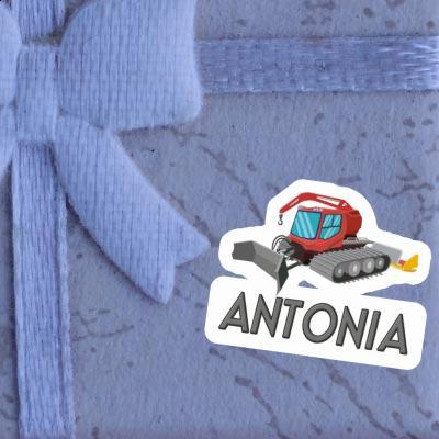 Dameuse Autocollant Antonia Gift package Image