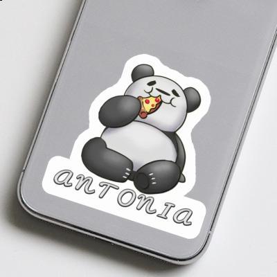 Autocollant Antonia Pizza-Panda Laptop Image