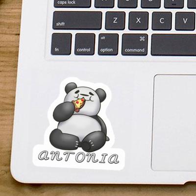 Pizza-Panda Sticker Antonia Laptop Image