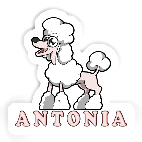 Antonia Autocollant Caniche Notebook Image