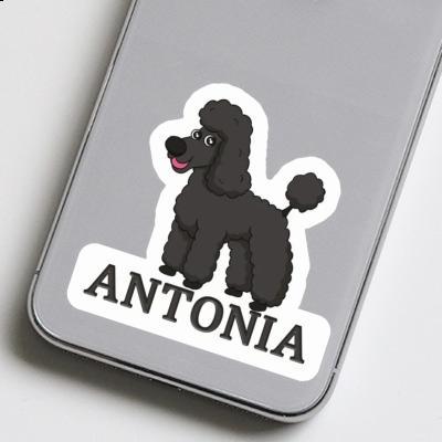 Antonia Autocollant Caniche Notebook Image