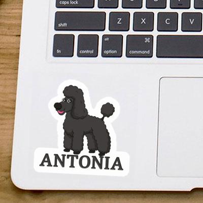 Antonia Autocollant Caniche Notebook Image