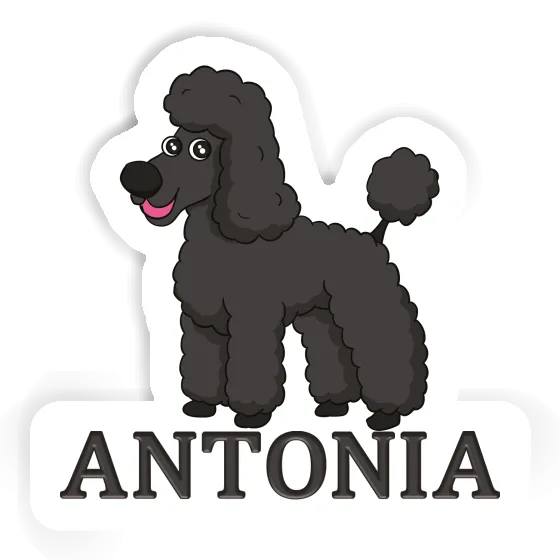 Poodle Sticker Antonia Notebook Image