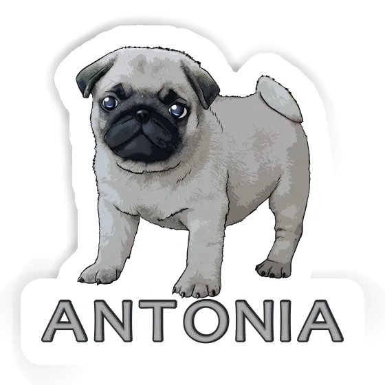 Antonia Sticker Pug Notebook Image