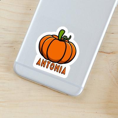 Sticker Antonia Pumpkin Laptop Image