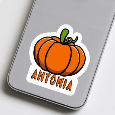 Sticker Antonia Pumpkin Laptop Image