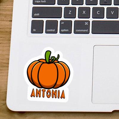 Sticker Antonia Pumpkin Notebook Image