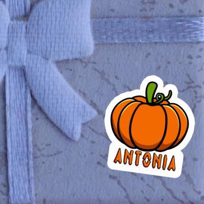 Sticker Antonia Pumpkin Gift package Image