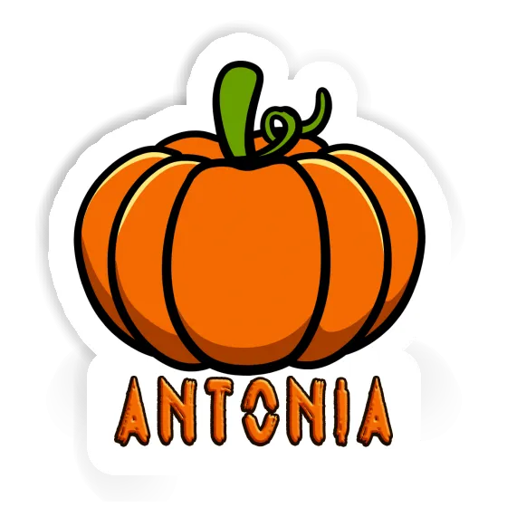 Sticker Antonia Pumpkin Laptop Image