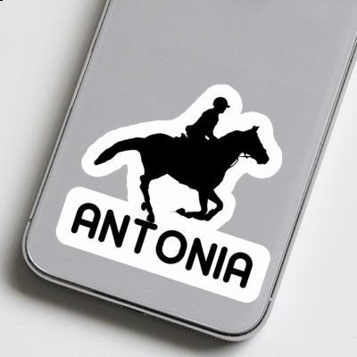 Antonia Sticker Horse Rider Notebook Image