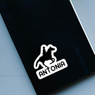 Antonia Sticker Horse Rider Notebook Image