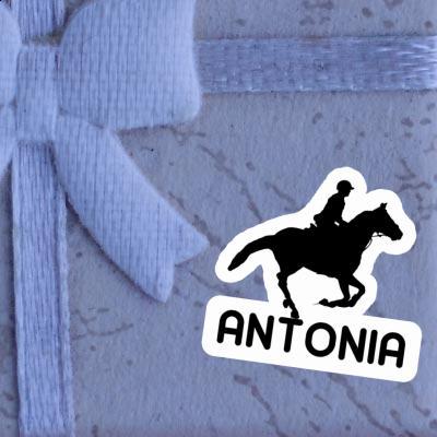 Antonia Sticker Horse Rider Image