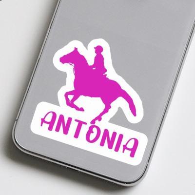 Horse Rider Sticker Antonia Laptop Image