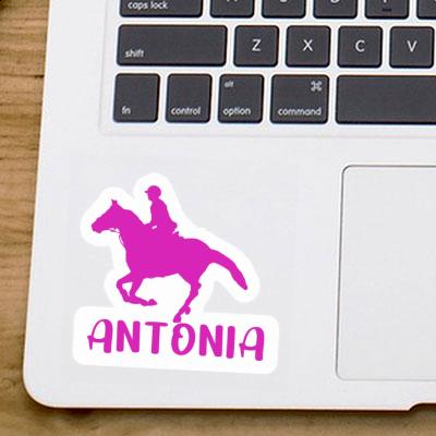 Horse Rider Sticker Antonia Laptop Image