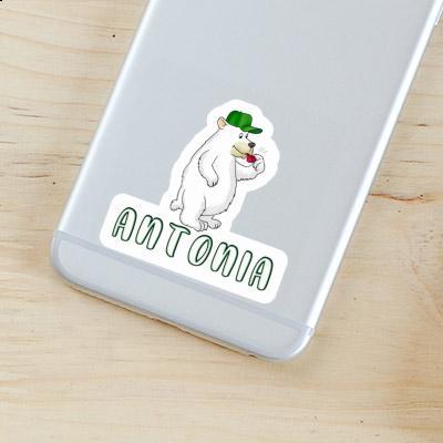 Antonia Sticker Ice Bear Notebook Image