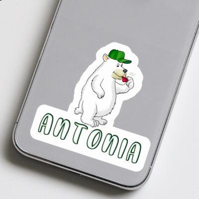 Antonia Sticker Ice Bear Image