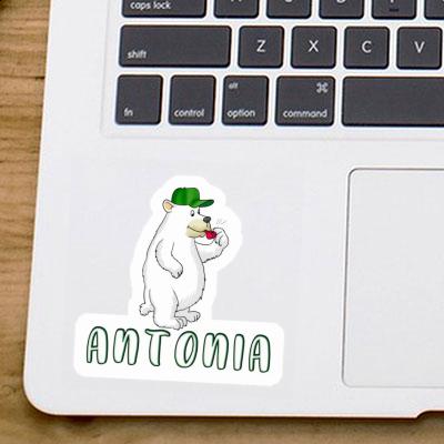 Antonia Sticker Ice Bear Notebook Image