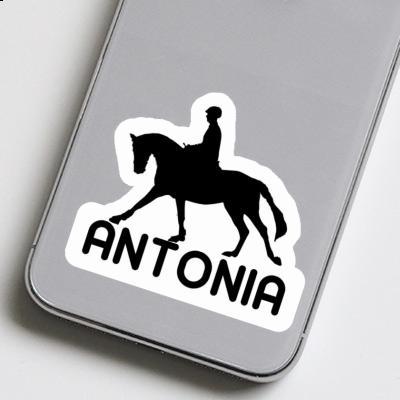 Horse Rider Sticker Antonia Notebook Image