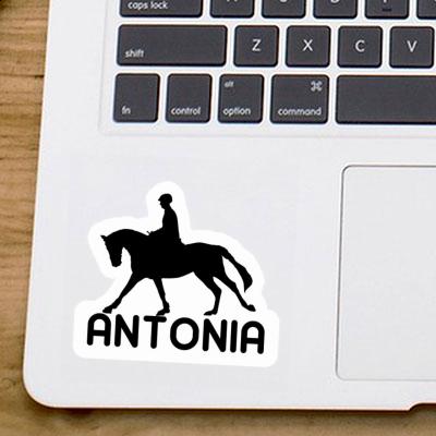 Sticker Reiterin Antonia Laptop Image