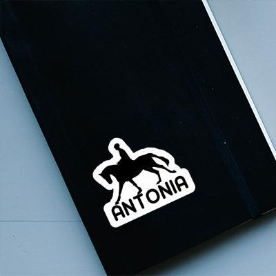 Horse Rider Sticker Antonia Laptop Image