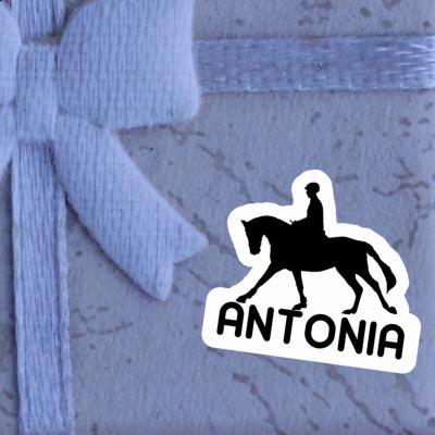 Horse Rider Sticker Antonia Laptop Image