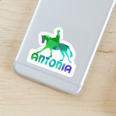 Horse Rider Sticker Antonia Image