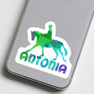 Antonia Autocollant Cavalière Notebook Image