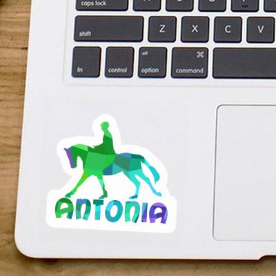 Horse Rider Sticker Antonia Notebook Image