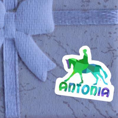 Horse Rider Sticker Antonia Notebook Image