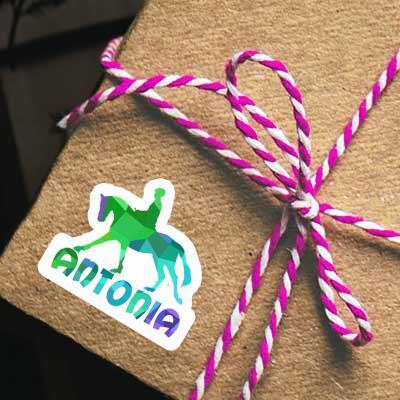 Horse Rider Sticker Antonia Notebook Image