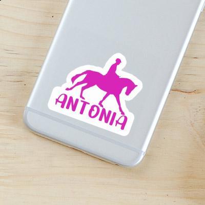 Sticker Horse Rider Antonia Notebook Image