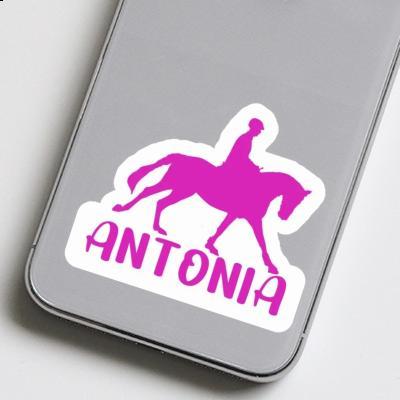 Sticker Horse Rider Antonia Laptop Image