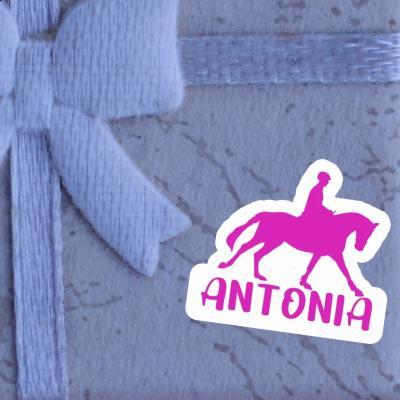 Sticker Reiterin Antonia Laptop Image