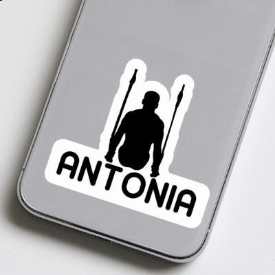 Sticker Antonia Ring gymnast Image