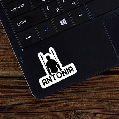 Sticker Antonia Ring gymnast Laptop Image