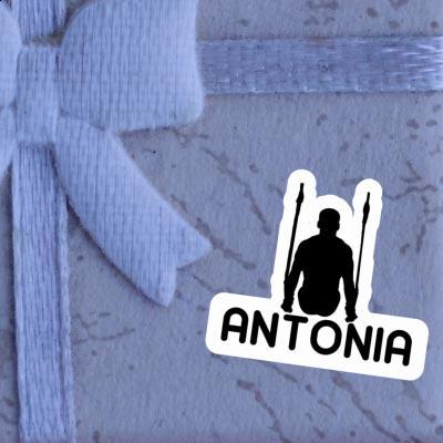 Sticker Antonia Ring gymnast Gift package Image