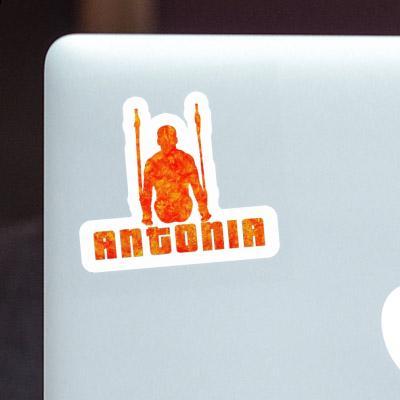 Ring gymnast Sticker Antonia Laptop Image