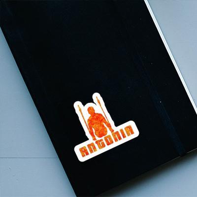 Ring gymnast Sticker Antonia Laptop Image