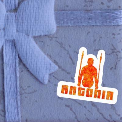 Ring gymnast Sticker Antonia Gift package Image