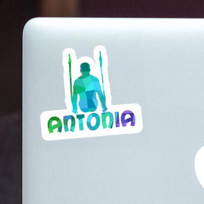 Sticker Antonia Ringturner Laptop Image