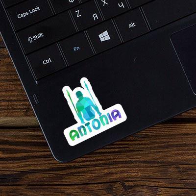 Sticker Antonia Ringturner Image