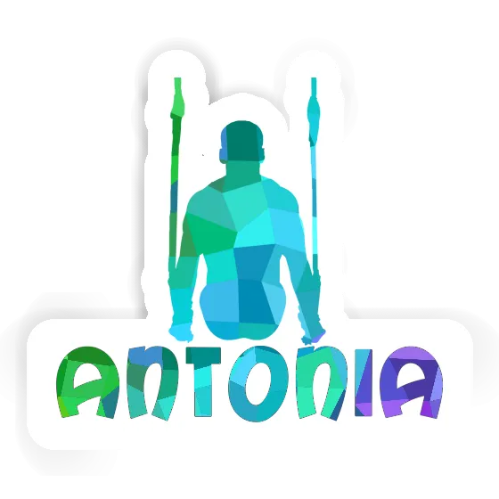 Sticker Antonia Ringturner Gift package Image