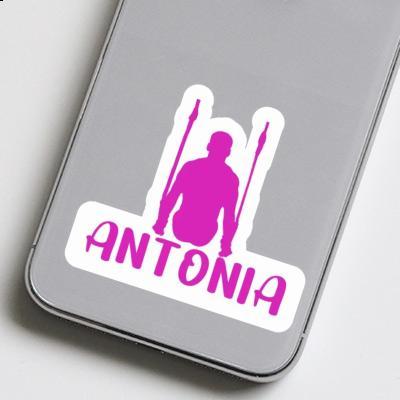 Sticker Ring gymnast Antonia Laptop Image