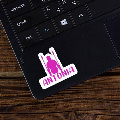 Sticker Ring gymnast Antonia Laptop Image